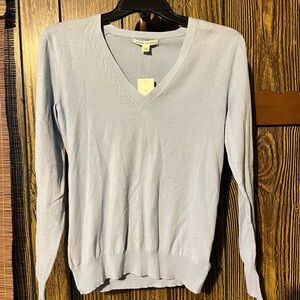 Banana Republic Soft Blue V-Neck Sweater